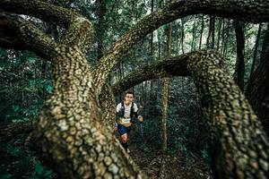 BIB: 
                            <button type="button" onclick="openModal(25394259)" class="btn btn-primary btn-sm float-right btn-popup" data-toggle="modal" data-target=".modal-high-quality">
                        <i class="fas fa-shopping-cart"></i> Add to Cart
                    </button>
                                            <button type="button" onclick="isThisMe(25394259, true)" class="btn btn-success btn-sm float-right btn-popup btn-isme hidden" data-toggle="tooltip" data-placement="bottom" title="นี่คือรูปของคุณใช่ไหม คลิกที่นี่เพื่อเอาเข้าอัลบั้ม">
                        <i class="fas fa-plus"></i> Add to album
                    </button>
                    <button type="button" onclick="isThisMe(25394259, false)" class="btn btn-warning btn-sm float-right btn-popup btn-isnotme hidden">
                        <i class="fas fa-ban"></i> Remove from album
                    </button>